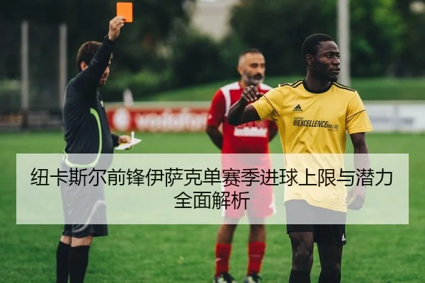 纽卡斯尔前锋伊萨克单赛季进球上限与潜力全面解析